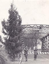 Tannenbäume und Lichterketten als Zeichen der Verbundenheit zu den Menschen in Ostberlin und der Sowjetzone, hier am Teltowkanal. Quelle: W. Voß