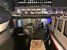 Mit dem THW-Schlauchboot bringen die Helfer das Boot an den Kranplatz. Quelle: THW/Florian Knapp