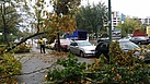 Mehrere Bäume und Äste waren auf parkende Autos gestürzt. THW/ Jannic Winkler