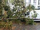 Viele Stadtbäume wurden durch den Sturm beschädigt. THW/ Peter Gaser