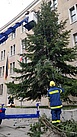 Die Lichterketten werden mit einem Hubsteiger am Weihnachtsbaum montiert. Quelle: THW/Yannic Winkler