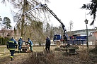 Auf dem THW-LKW wird der Waschbrunnen zur Gedenkstätte transportiert. Quelle: Warnemünde, MGR/SBG